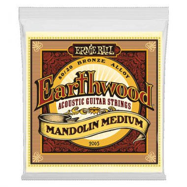 Ernie Ball Earthwood 80/20 Mandolin Medium Gauge