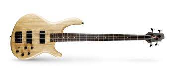 Cort Action Deluxe 5 String